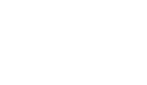 lvsi-logo-wit